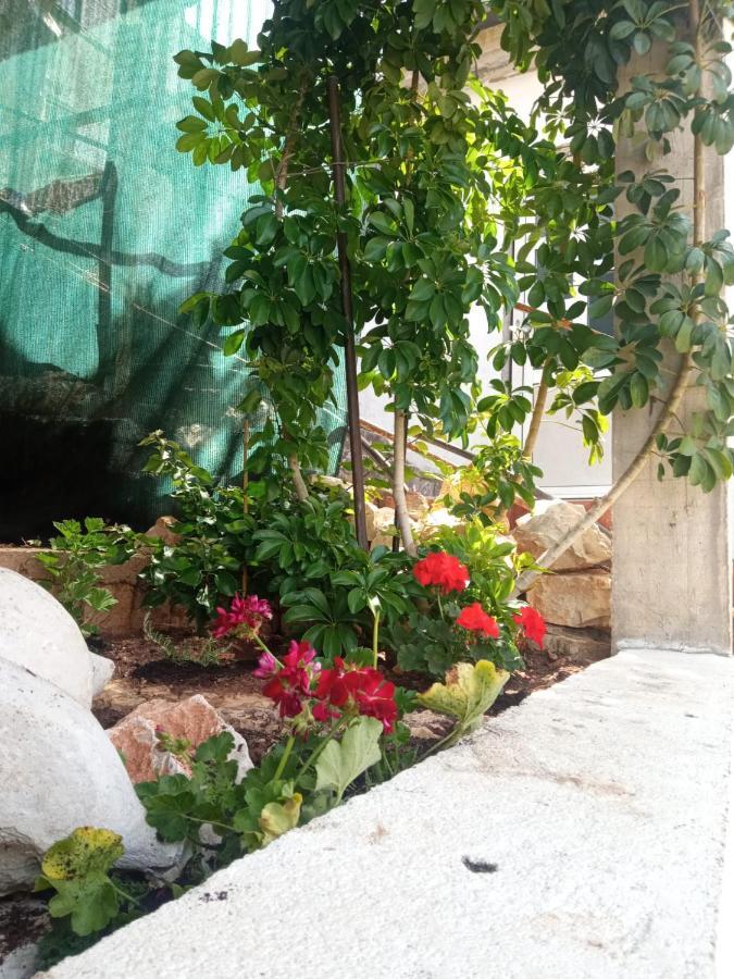 Guest House Inara เนอุม ภายนอก รูปภาพ